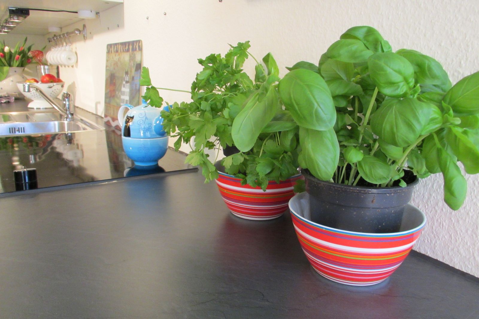 kitchen detail